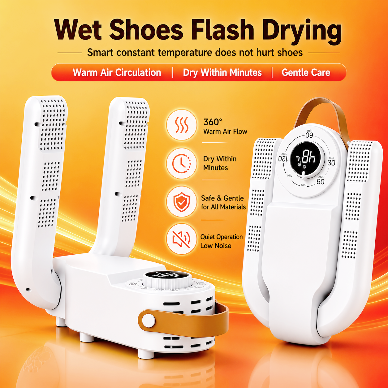 Electric shoe dryer with a timer and temperature control