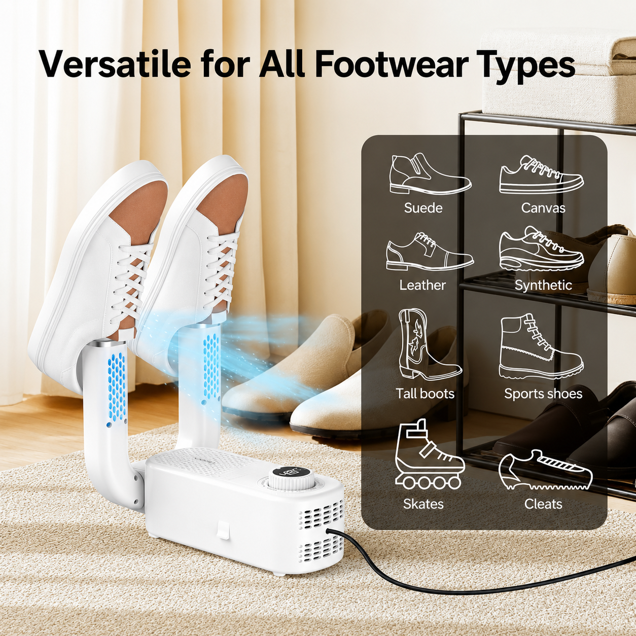 Electric shoe dryer with a timer and temperature control